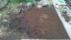 芝生育成　床土作り